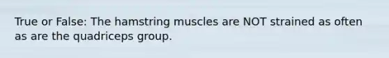 True or False: The hamstring muscles are NOT strained as often as are the quadriceps group.