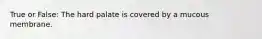 True or False: The hard palate is covered by a mucous membrane.