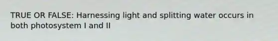 TRUE OR FALSE: Harnessing light and splitting water occurs in both photosystem I and II