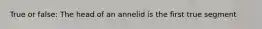 True or false: The head of an annelid is the first true segment