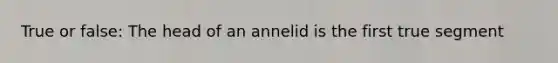 True or false: The head of an annelid is the first true segment