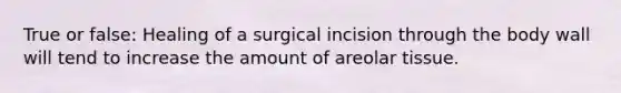 True or false: Healing of a surgical incision through the body wall will tend to increase the amount of areolar tissue.