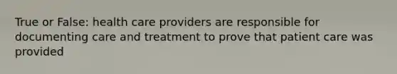 True or False: health care providers are responsible for documenting care and treatment to prove that patient care was provided