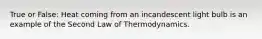 True or False: Heat coming from an incandescent light bulb is an example of the Second Law of Thermodynamics.