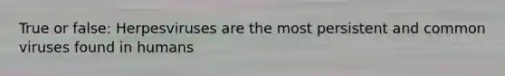 True or false: Herpesviruses are the most persistent and common viruses found in humans
