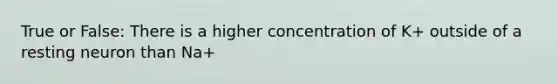 True or False: There is a higher concentration of K+ outside of a resting neuron than Na+