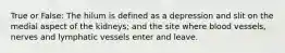True or False: The hilum is defined as a depression and slit on the medial aspect of the kidneys; and the site where blood vessels, nerves and lymphatic vessels enter and leave.