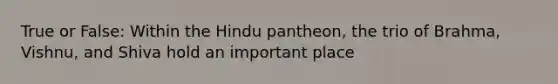 True or False: Within the Hindu pantheon, the trio of Brahma, Vishnu, and Shiva hold an important place