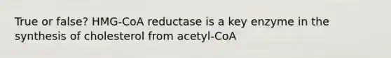 True or false? HMG-CoA reductase is a key enzyme in the synthesis of cholesterol from acetyl-CoA