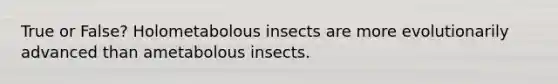 True or False? Holometabolous insects are more evolutionarily advanced than ametabolous insects.