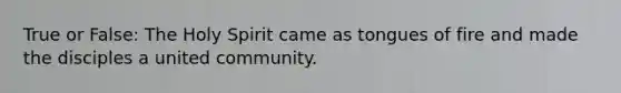 True or False: The Holy Spirit came as tongues of fire and made the disciples a united community.