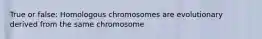 True or false: Homologous chromosomes are evolutionary derived from the same chromosome