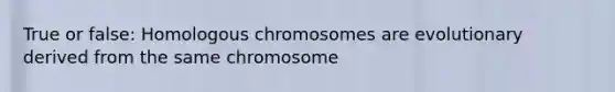 True or false: Homologous chromosomes are evolutionary derived from the same chromosome