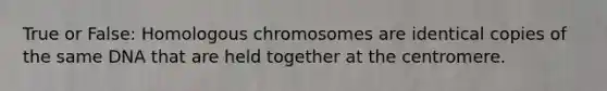 True or False: Homologous chromosomes are identical copies of the same DNA that are held together at the centromere.