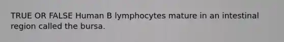 TRUE OR FALSE Human B lymphocytes mature in an intestinal region called the bursa.