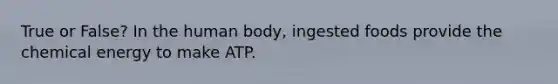 True or False? In the human body, ingested foods provide the chemical energy to make ATP.