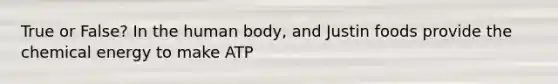 True or False? In the human body, and Justin foods provide the chemical energy to make ATP