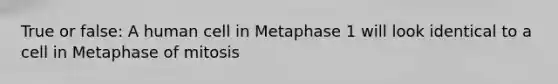 True or false: A human cell in Metaphase 1 will look identical to a cell in Metaphase of mitosis