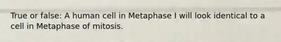 True or false: A human cell in Metaphase I will look identical to a cell in Metaphase of mitosis.