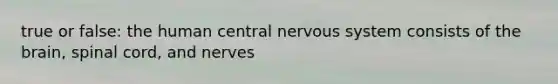 true or false: the <a href='https://www.questionai.com/knowledge/kQCJvi1VNZ-human-central-nervous-system' class='anchor-knowledge'>human central <a href='https://www.questionai.com/knowledge/kThdVqrsqy-nervous-system' class='anchor-knowledge'>nervous system</a></a> consists of <a href='https://www.questionai.com/knowledge/kLMtJeqKp6-the-brain' class='anchor-knowledge'>the brain</a>, spinal cord, and nerves