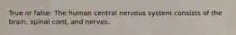 True or false: The human central nervous system consists of the brain, spinal cord, and nerves.