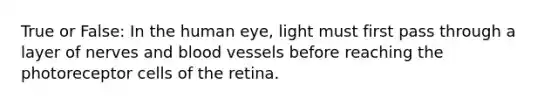 True or False: In the human eye, light must first pass through a layer of nerves and blood vessels before reaching the photoreceptor cells of the retina.