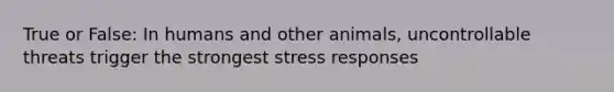 True or False: In humans and other animals, uncontrollable threats trigger the strongest stress responses