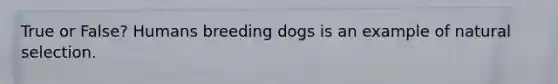 True or False? Humans breeding dogs is an example of natural selection.