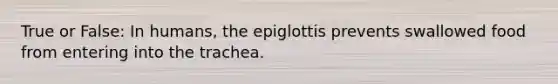 True or False: In humans, the epiglottis prevents swallowed food from entering into the trachea.