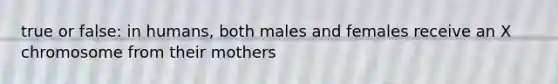 true or false: in humans, both males and females receive an X chromosome from their mothers