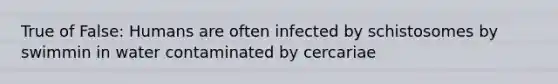 True of False: Humans are often infected by schistosomes by swimmin in water contaminated by cercariae