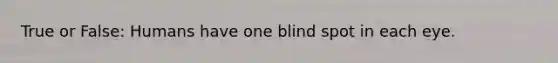 True or False: Humans have one blind spot in each eye.