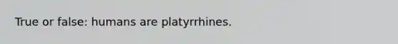 True or false: humans are platyrrhines.