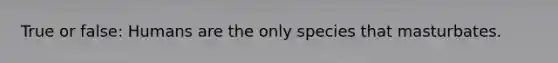 True or false: Humans are the only species that masturbates.