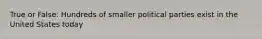 True or False: Hundreds of smaller political parties exist in the United States today