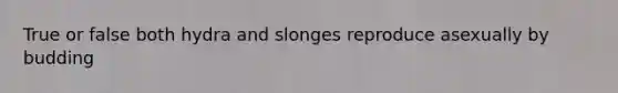 True or false both hydra and slonges reproduce asexually by budding