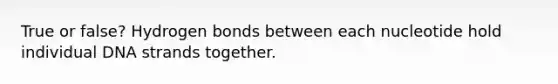 True or false? Hydrogen bonds between each nucleotide hold individual DNA strands together.