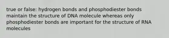 true or false: hydrogen bonds and phosphodiester bonds maintain the structure of DNA molecule whereas only phosphodiester bonds are important for the structure of RNA molecules