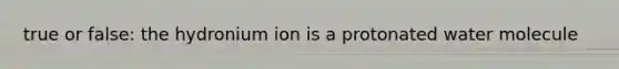 true or false: the hydronium ion is a protonated water molecule
