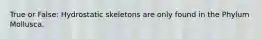 True or False: Hydrostatic skeletons are only found in the Phylum Mollusca.
