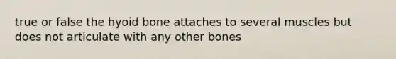 true or false the hyoid bone attaches to several muscles but does not articulate with any other bones