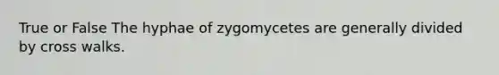 True or False The hyphae of zygomycetes are generally divided by cross walks.