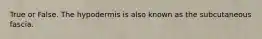 True or False. The hypodermis is also known as the subcutaneous fascia.
