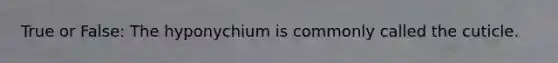 True or False: The hyponychium is commonly called the cuticle.