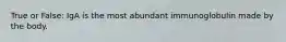 True or False: IgA is the most abundant immunoglobulin made by the body.