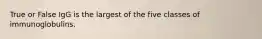 True or False IgG is the largest of the five classes of immunoglobulins.