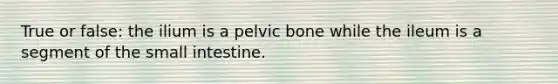 True or false: the ilium is a pelvic bone while the ileum is a segment of the small intestine.