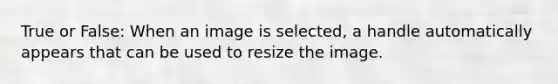 True or False: When an image is selected, a handle automatically appears that can be used to resize the image.