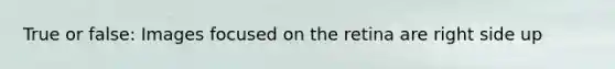 True or false: Images focused on the retina are right side up