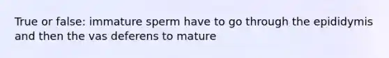 True or false: immature sperm have to go through the epididymis and then the vas deferens to mature